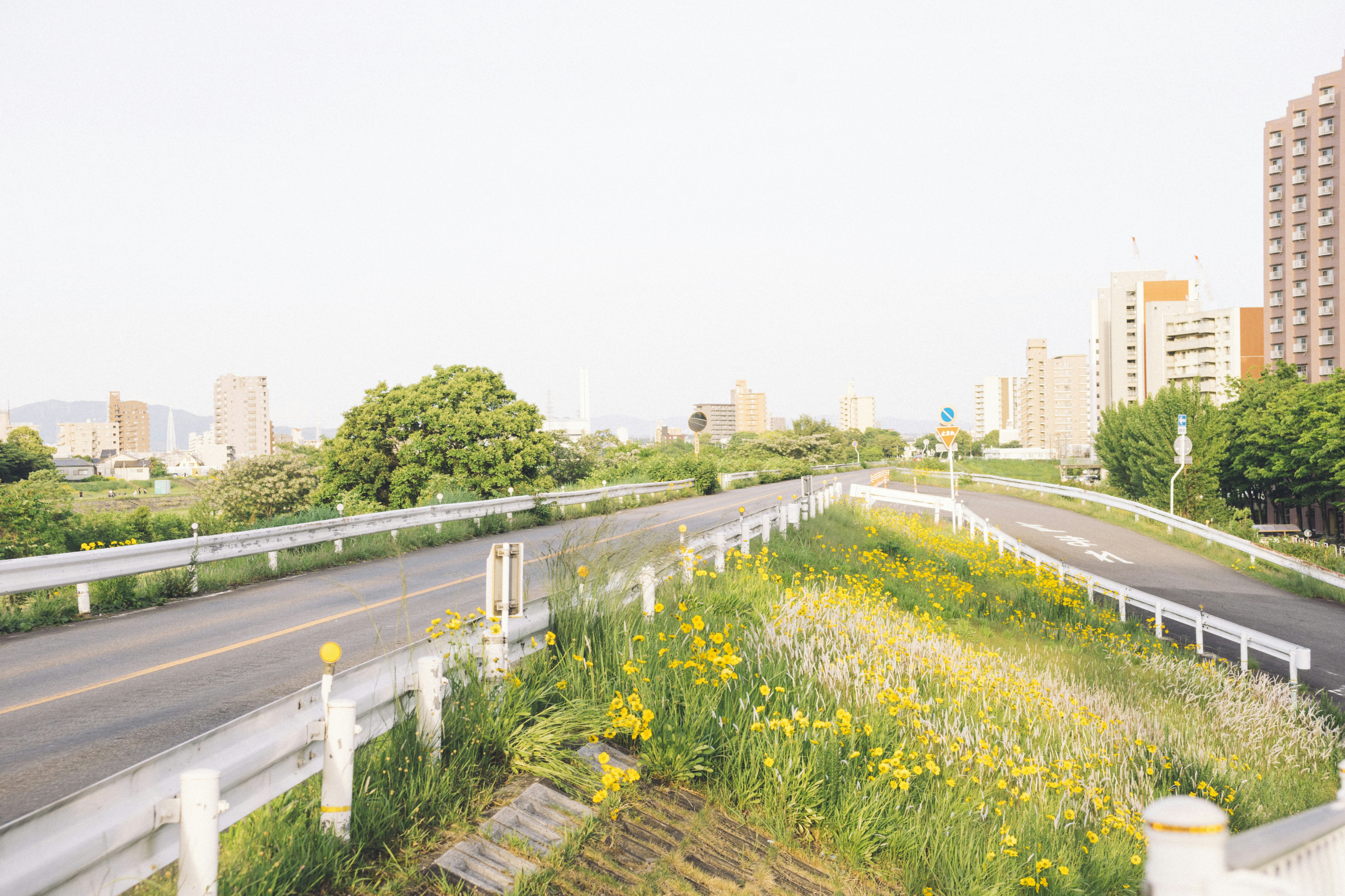 green grass field near road during daytime