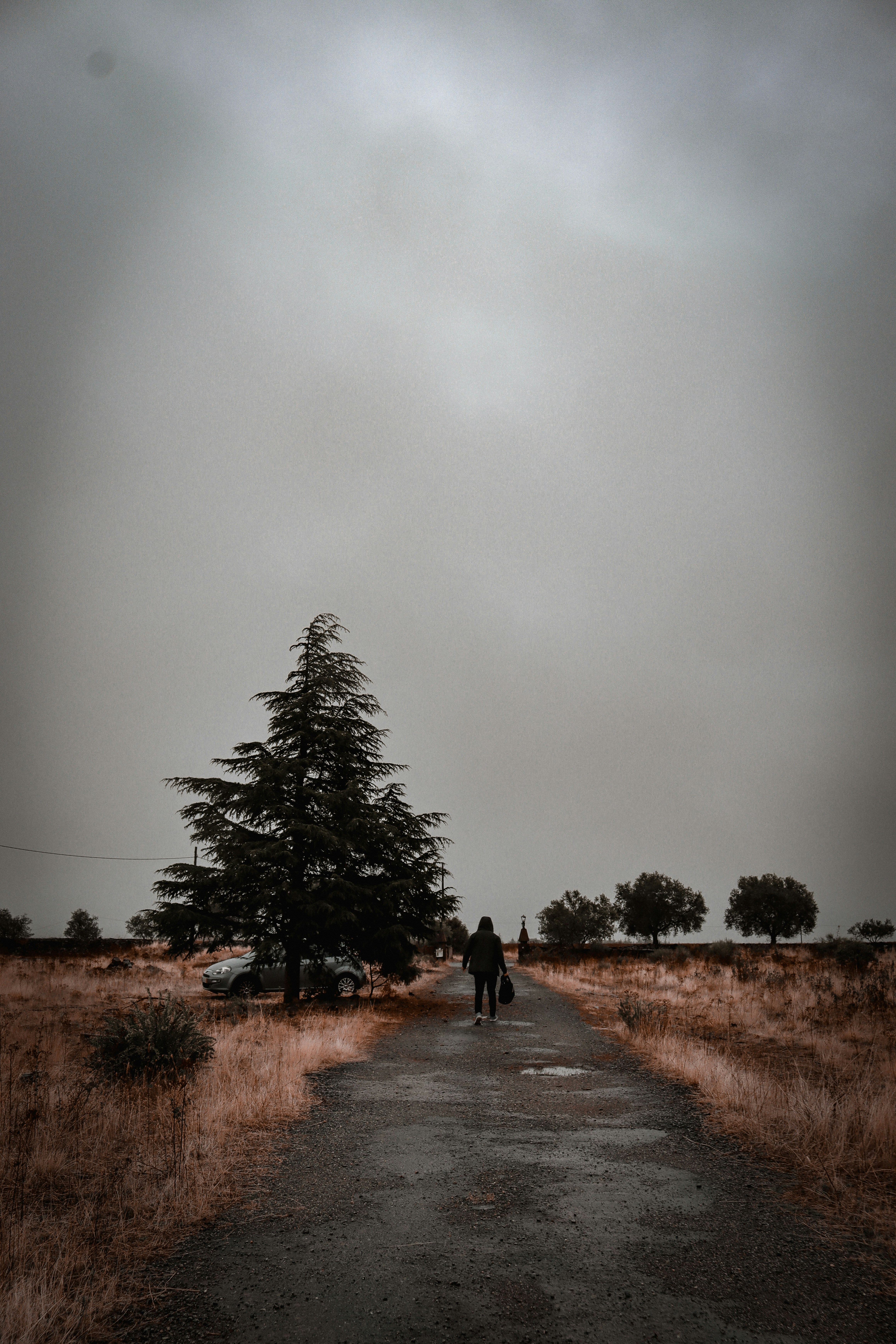 Photo by bored_cris