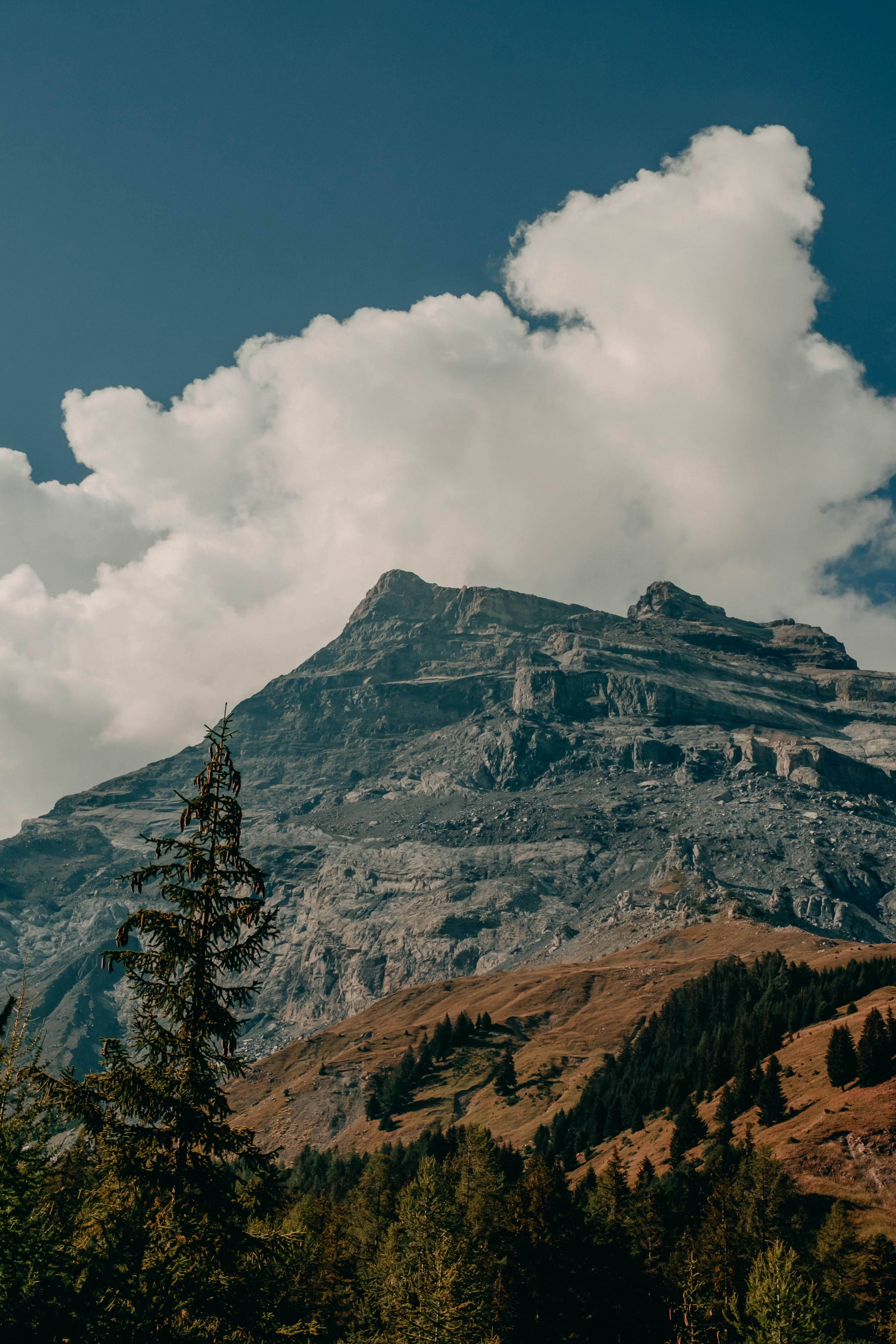 Photo by christophe_myr