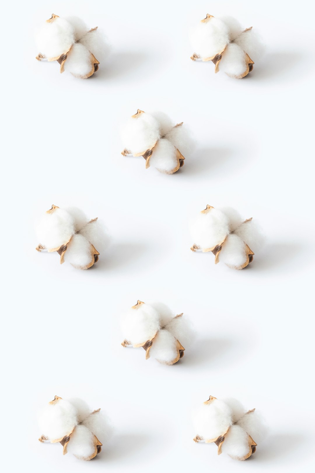3 Cotton Ball Crafts for Kids