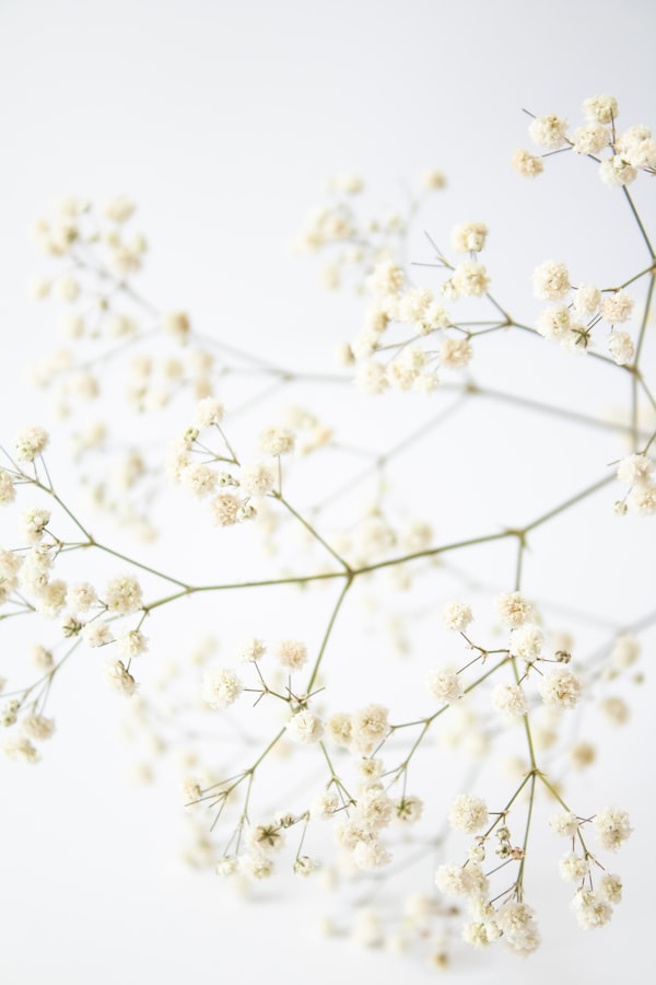 Breicursus materialen en garens