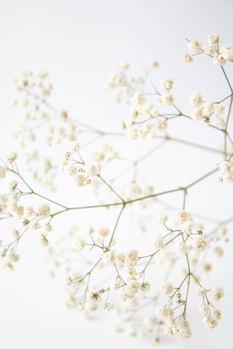 Cómo Hacer que los Niños Coman Más Fruta y Verdura