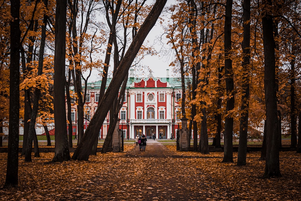 red and white concrete building near brown trees during daytime