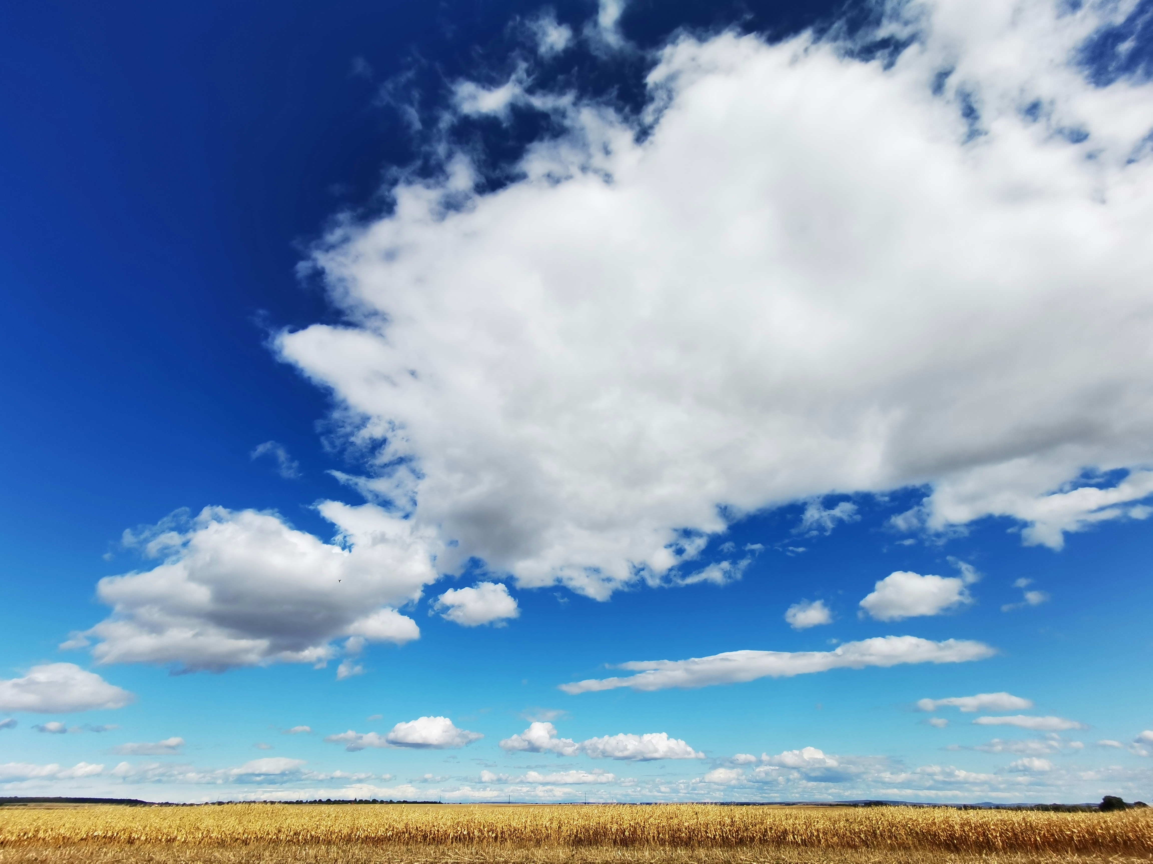 Photo by yetanotherguy