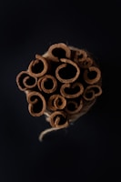 Bundles of cinnamon sticks tied together, showcasing their rich brown color