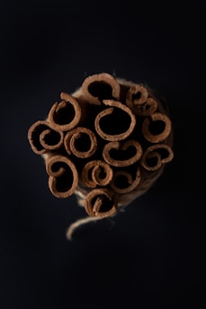 A bundle of cinnamon sticks tightly wrapped together, viewed from above, showcasing their intricate curls and rich brown color against a dark background.