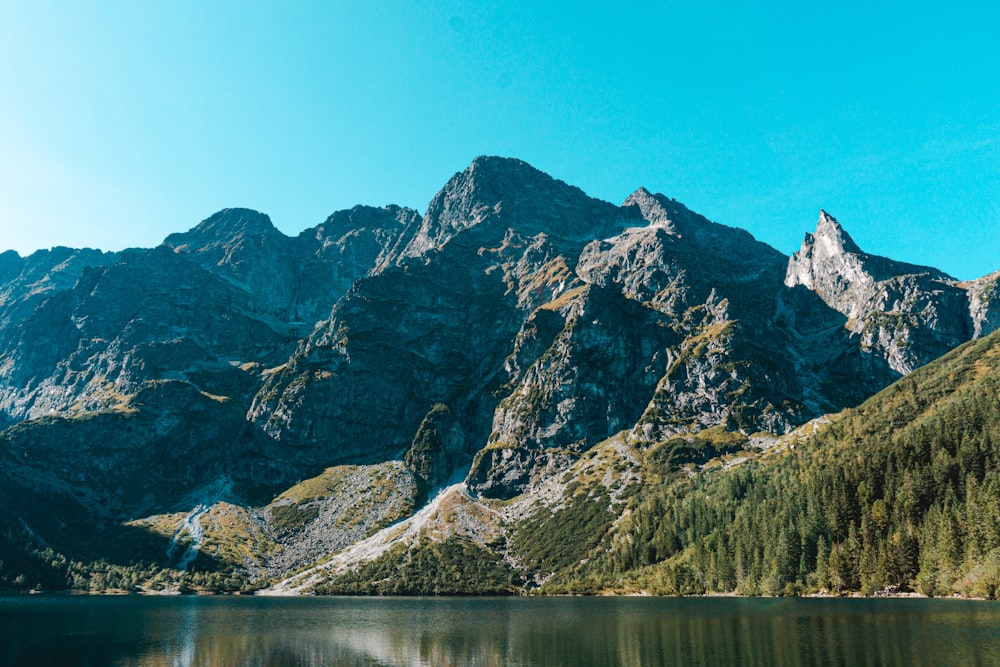 brown and white mountain near body of water during daytime