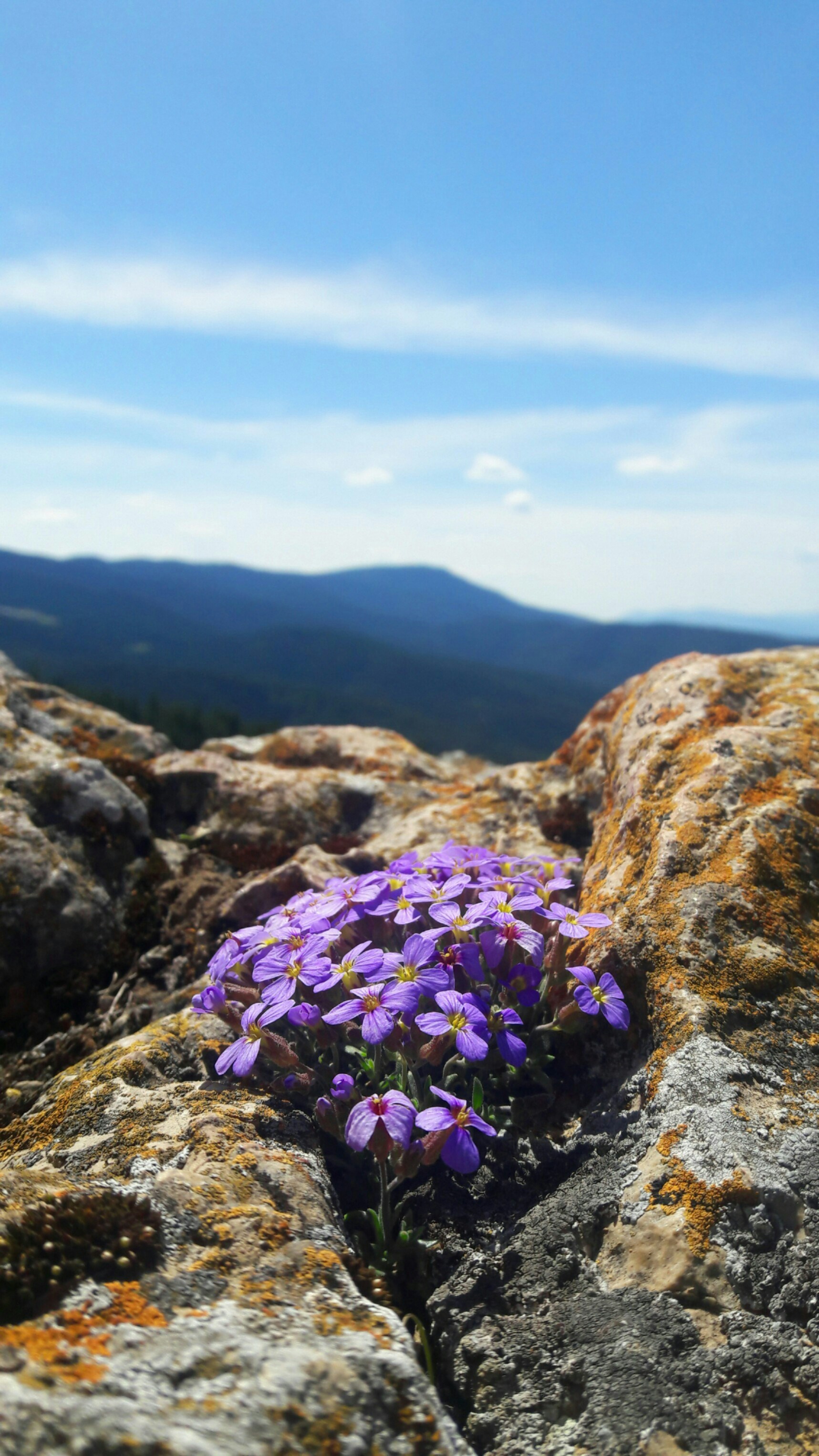 Photo by salihasultansogutlu