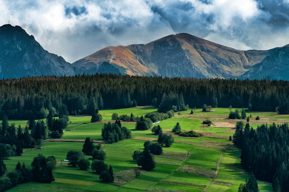 green grass field near green trees and mountain under white clouds and blue sky during daytime