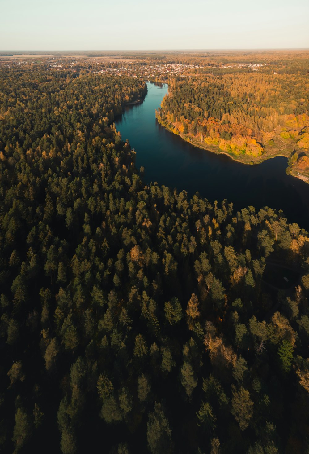 vista aérea do lago cercado por árvores durante o dia