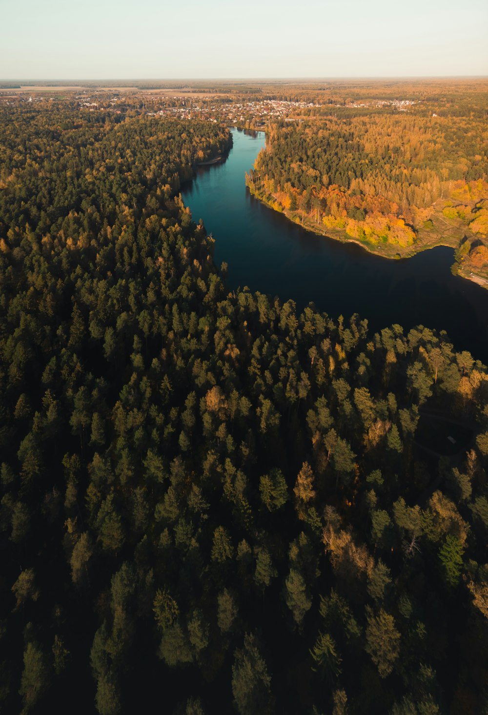 Veduta aerea del lago circondato da alberi durante il giorno