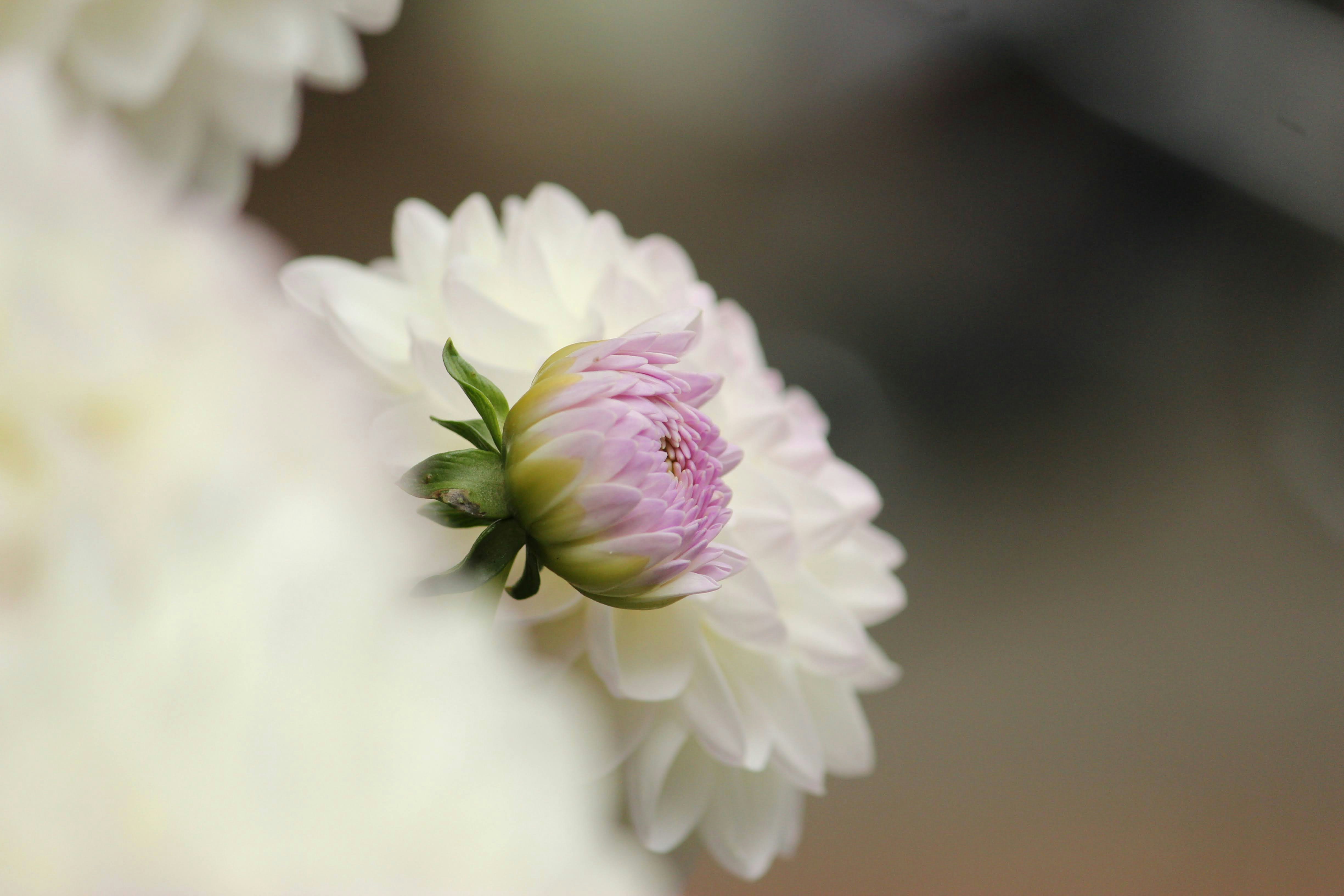 Photo by campbellcreates