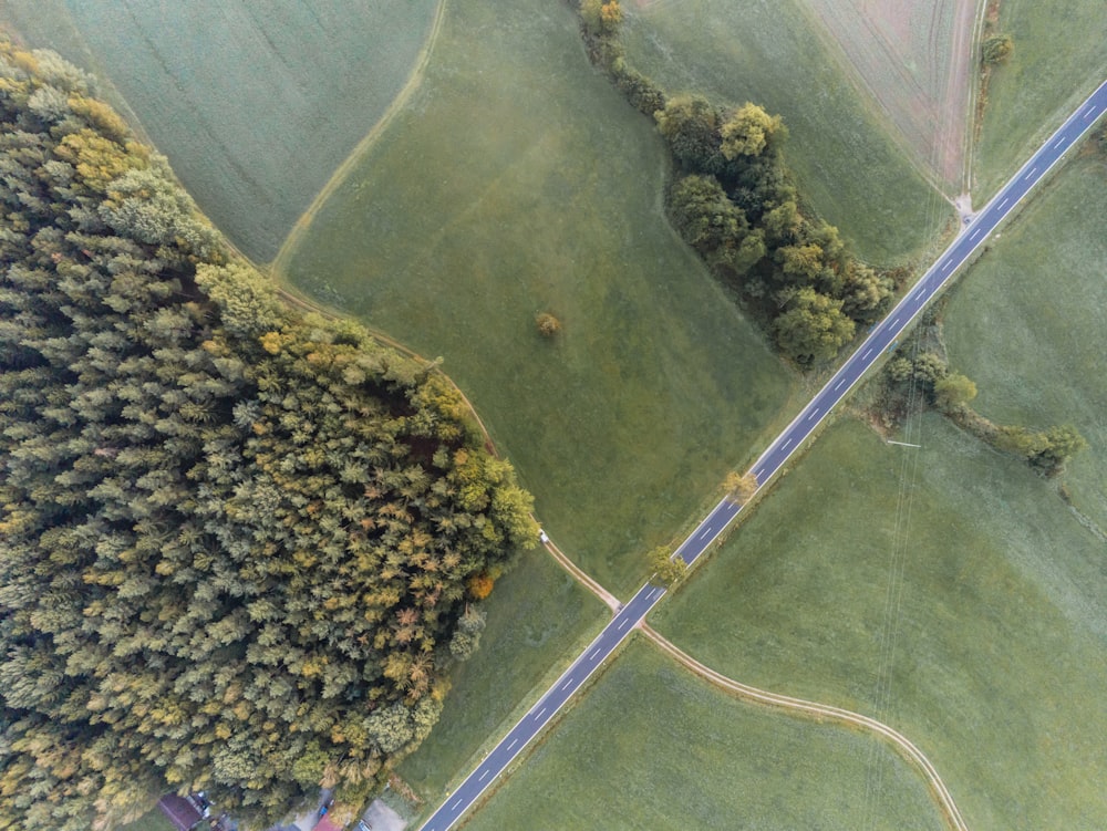 aerial view of green grass field