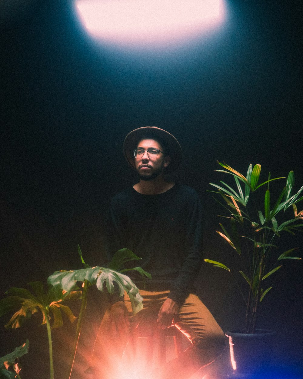 man in black long sleeve shirt sitting beside green plant during nighttime