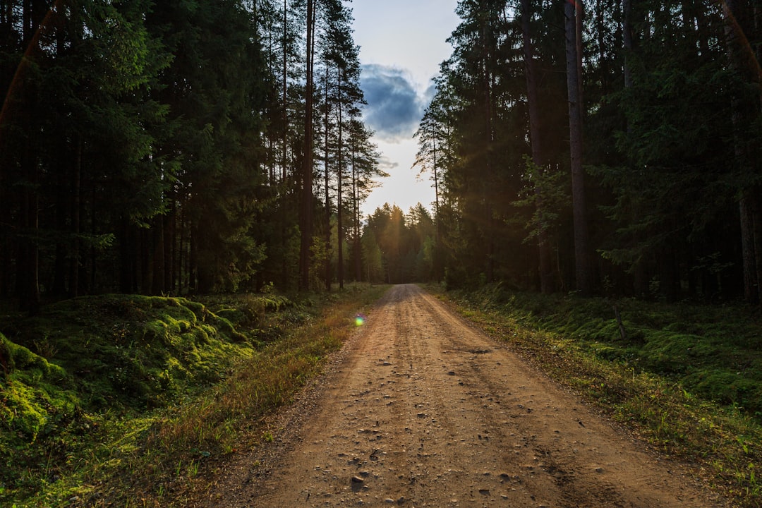 Forest photo spot Labanoroâ€“PabradÄ—s giria Lithuania