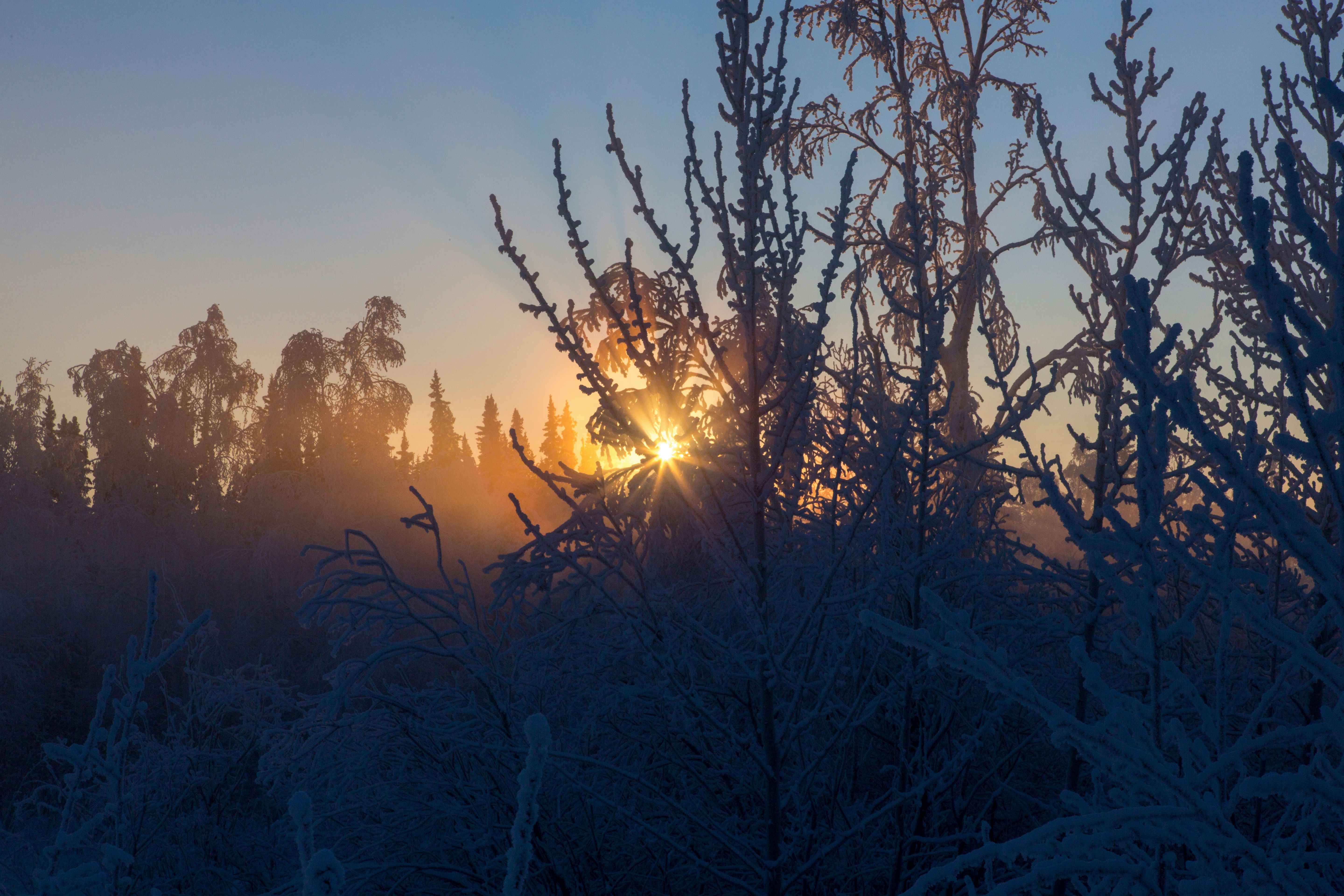 Photo by carrier_lost