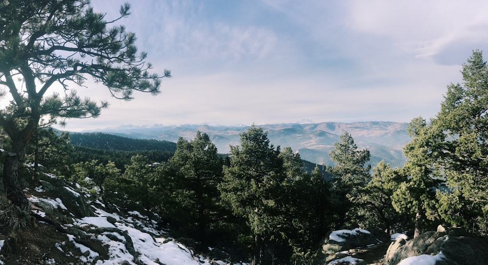 a view of the mountains and trees from the top of a mountain