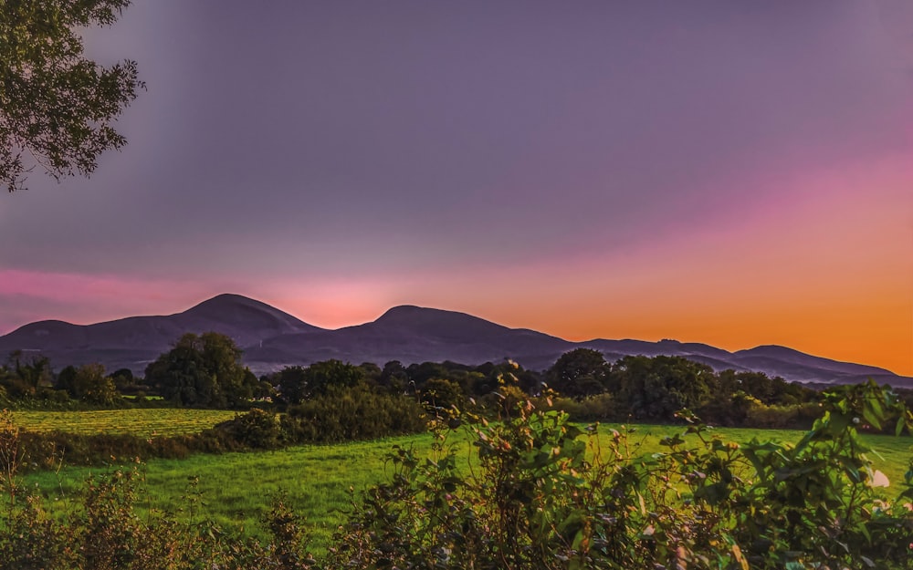 green grass field near mountain during sunset