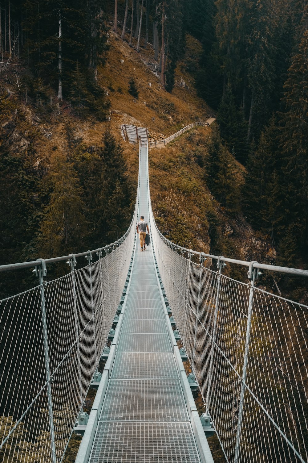 white bridge in the forest