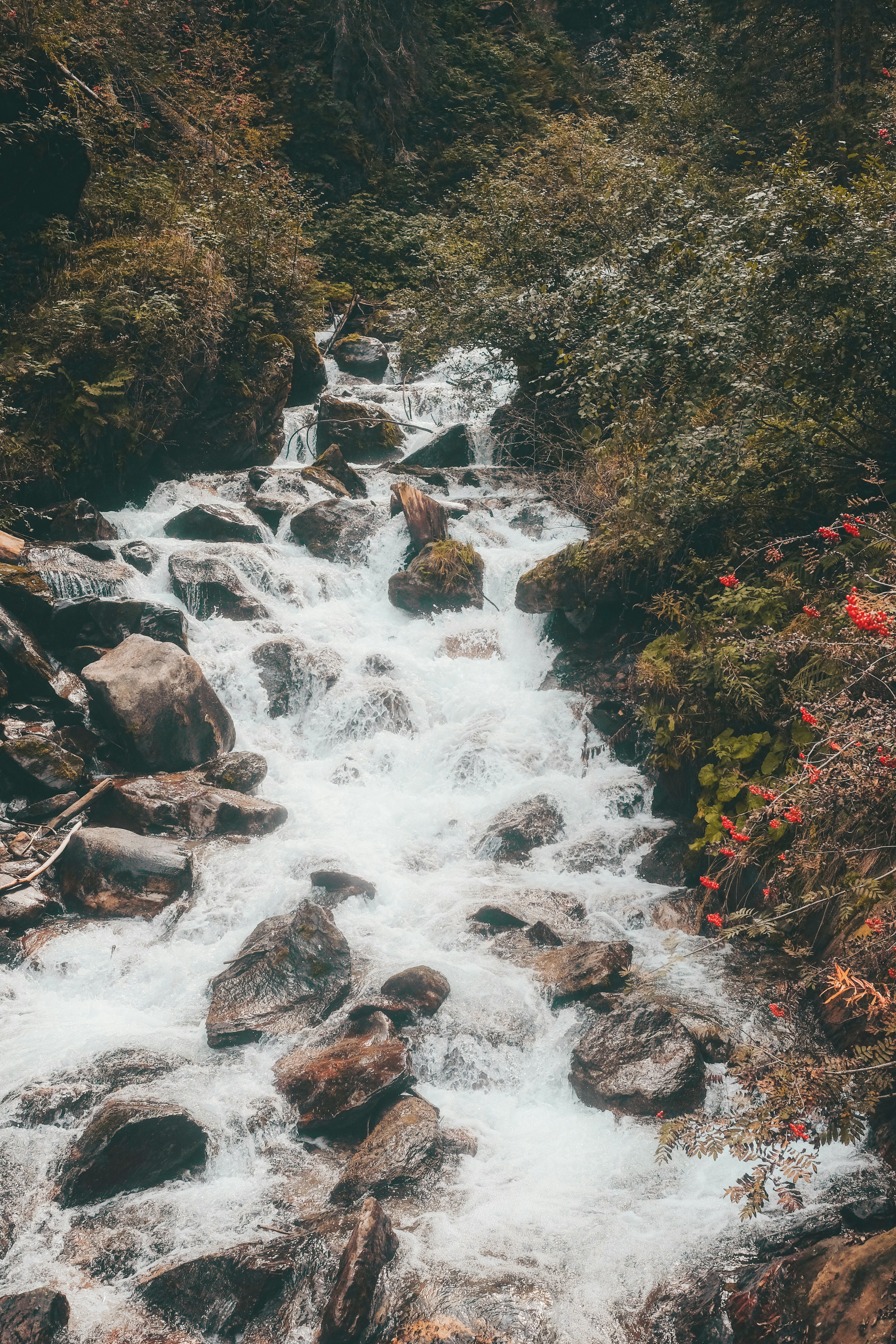 Photo by cristina_gottardi