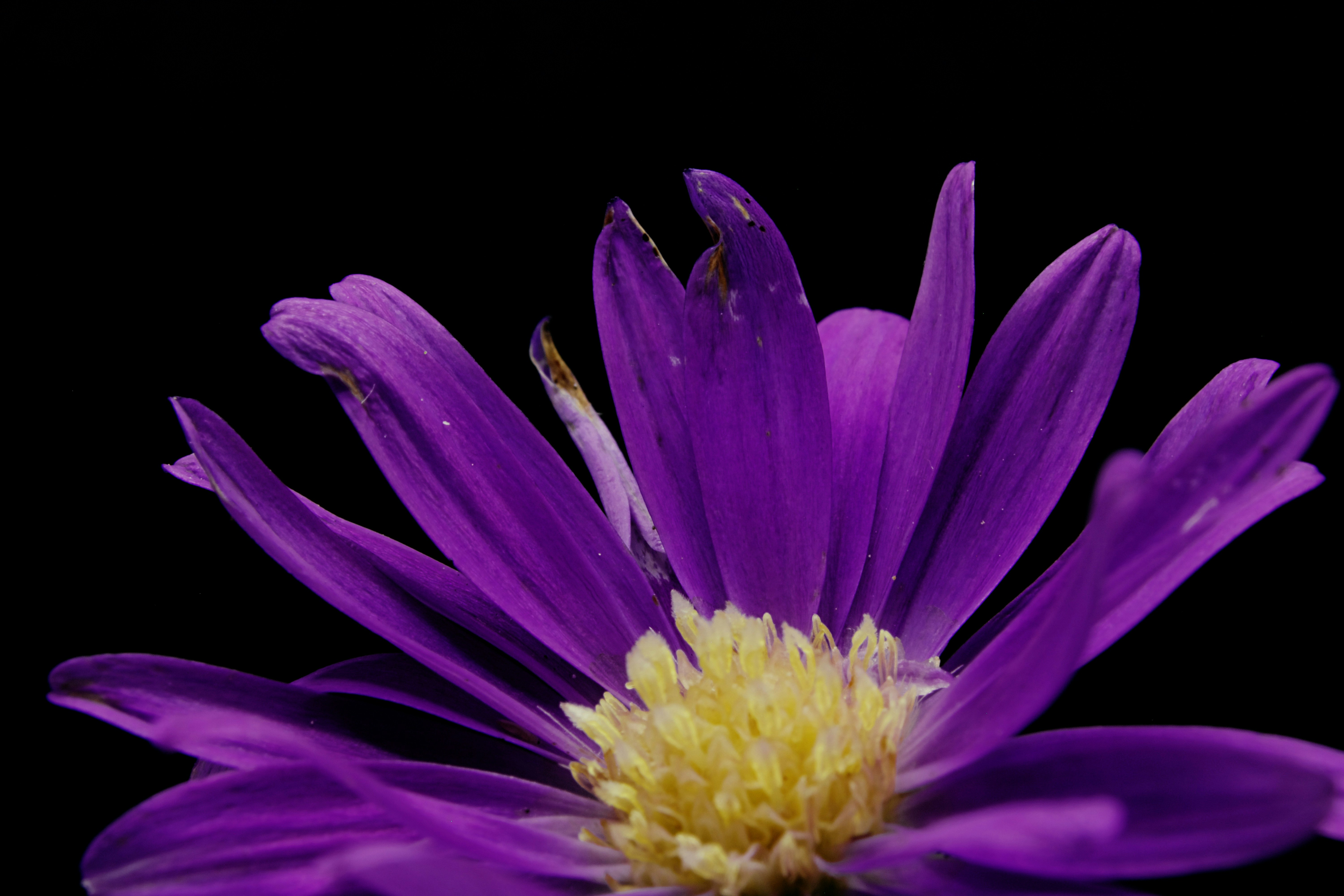 Photo by picsbyjameslee