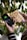 A person holds a smartphone showing a fully charged battery symbol connected to a wooden power bank. The power bank has a geometric logo and the word 'agefis' engraved on it. In the background, there are green leaves, suggesting a natural setting.