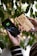 A person holds a smartphone showing a fully charged battery symbol connected to a wooden power bank. The power bank has a geometric logo and the word 'agefis' engraved on it. In the background, there are green leaves, suggesting a natural setting.