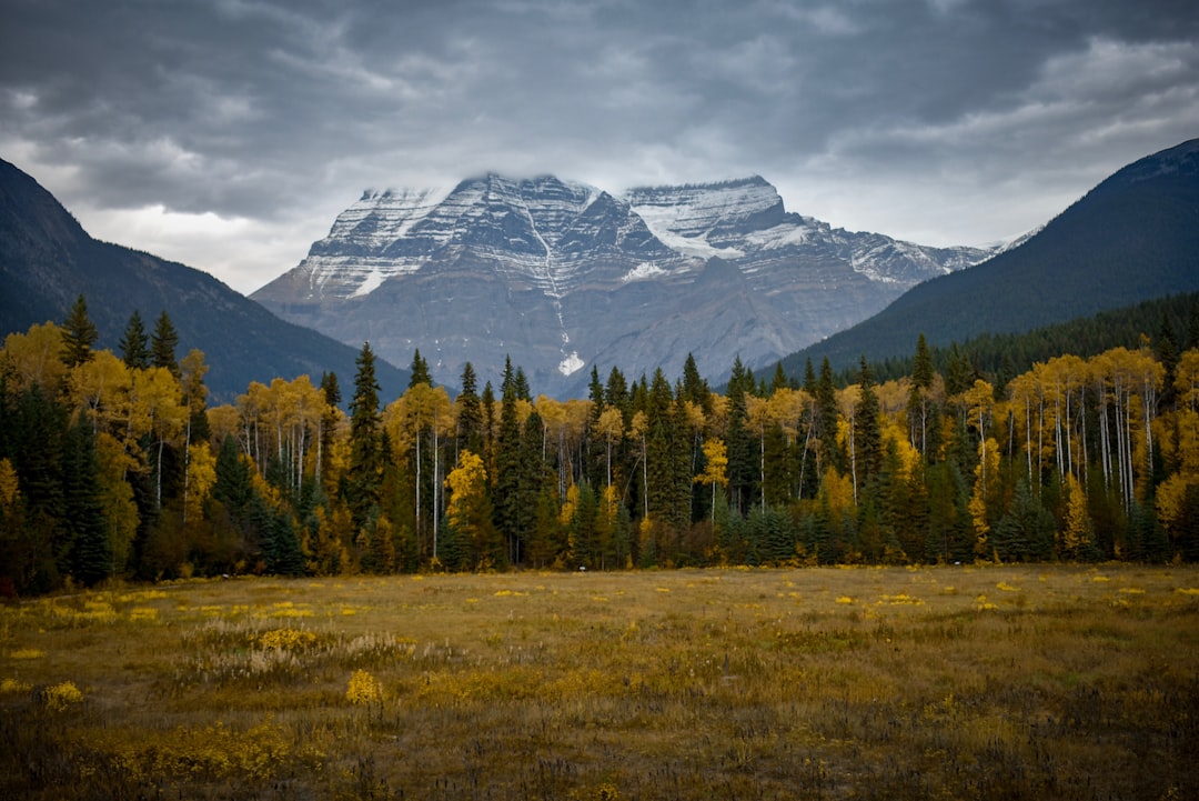 Highland photo spot Mount Robson Jasper