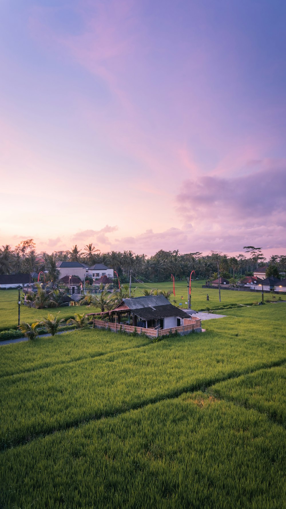 green grass field near green trees under cloudy sky during daytime