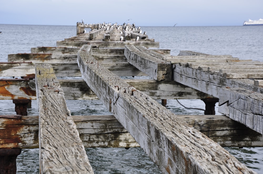 brown wooden dock on sea during daytime