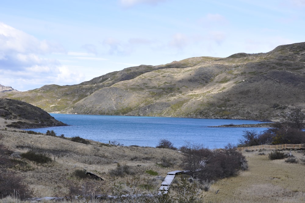 campo di erba verde vicino al mare blu sotto il cielo blu durante il giorno