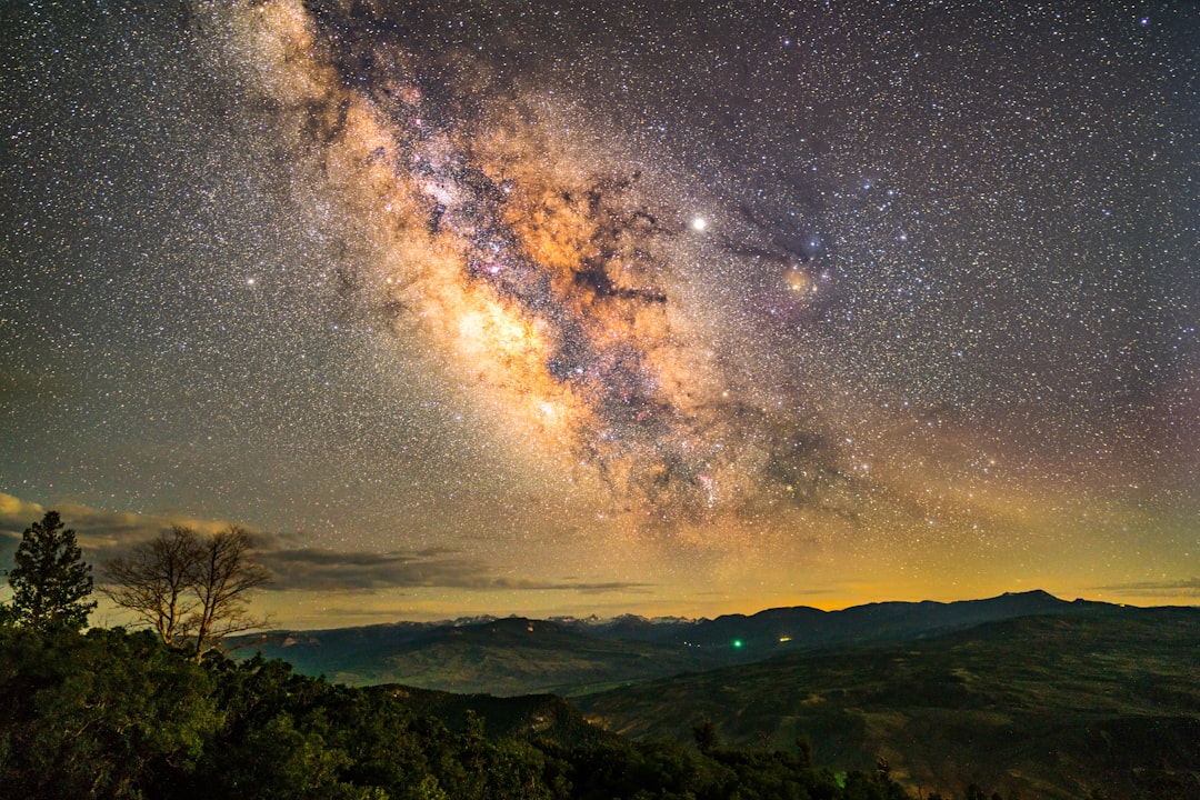 green trees under starry night