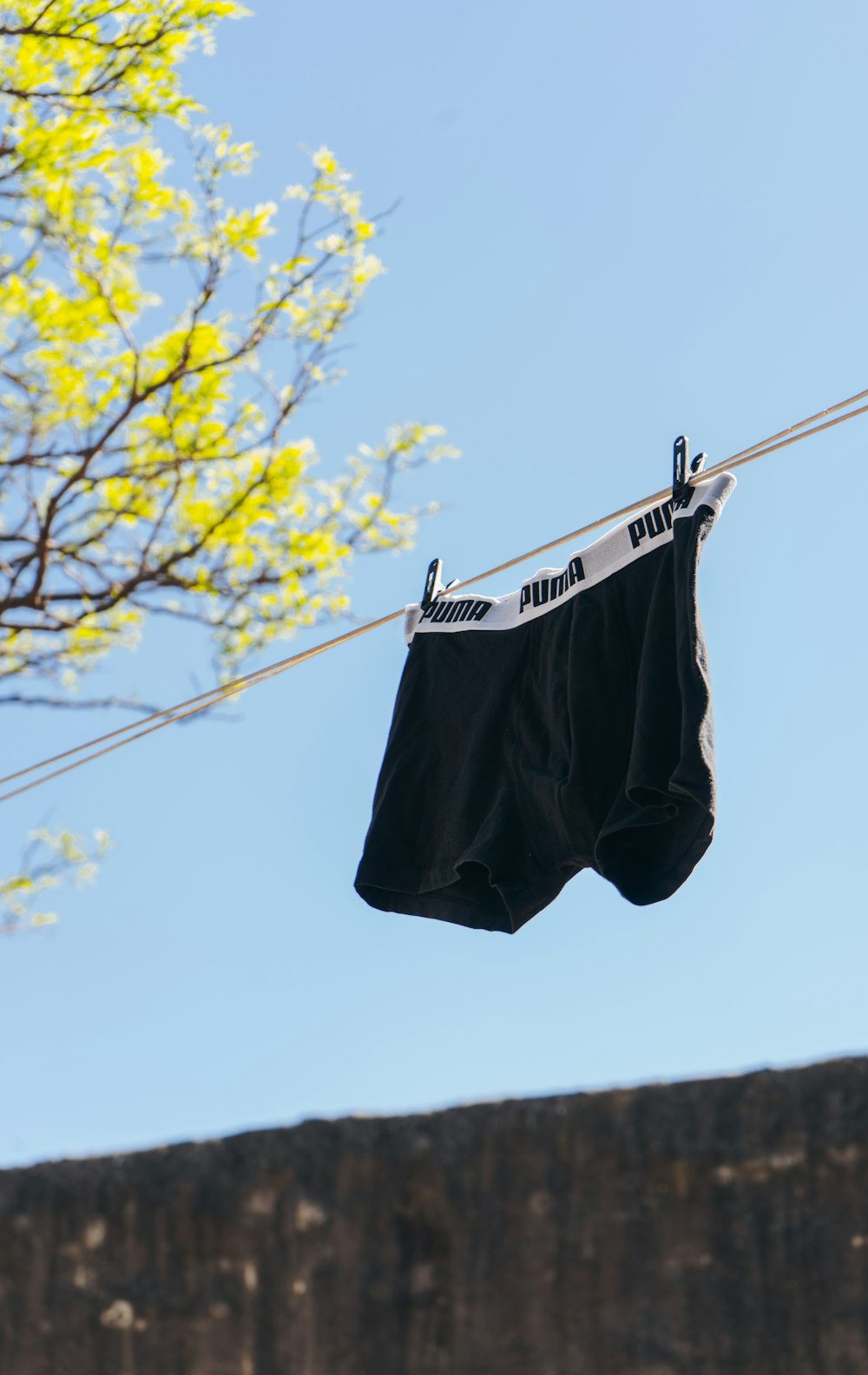 black and white shorts hanging on clothes line