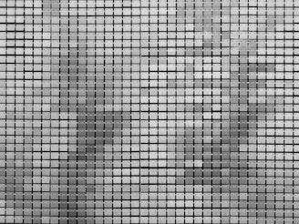 black and white checkered textile