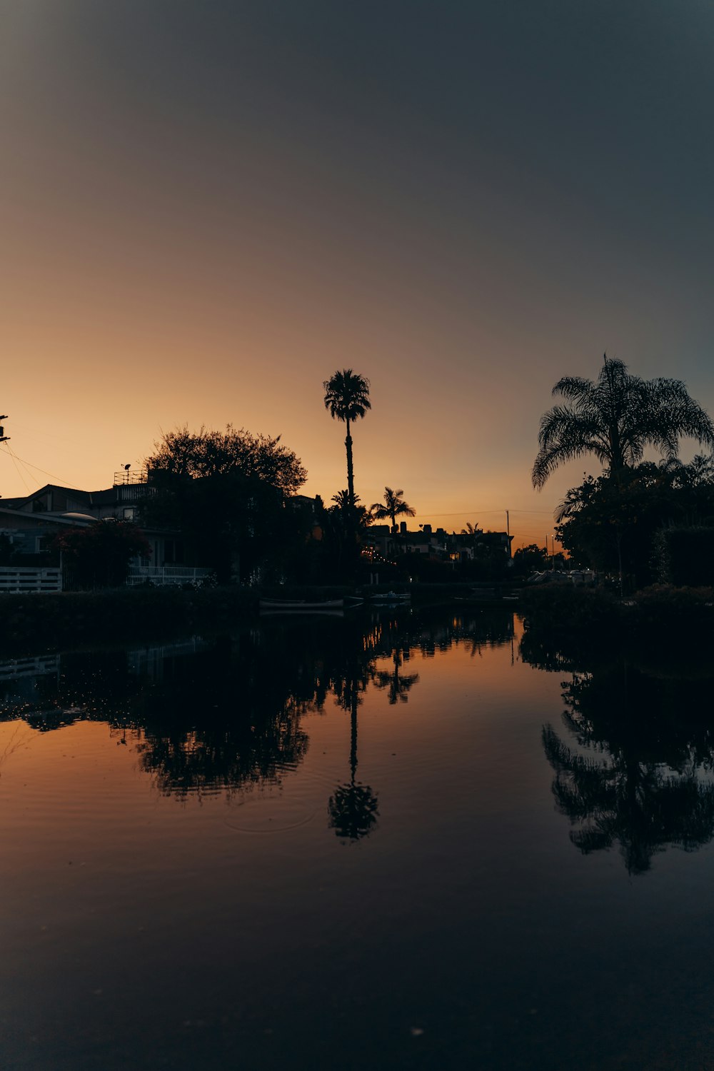 silhouette of trees near body of water during sunset