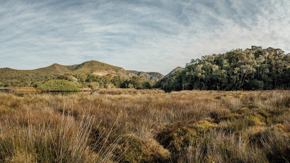 campo de hierba verde cerca de la montaña verde bajo nubes blancas durante el día