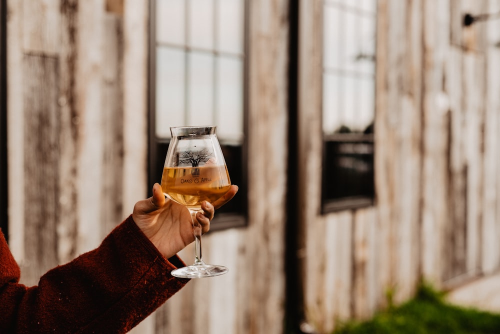 person holding clear wine glass with brown liquid