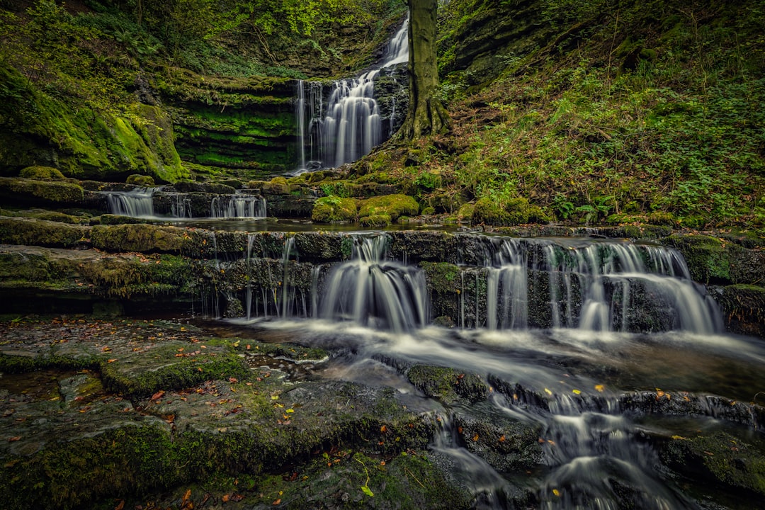 waterfalls in the middle of the forest