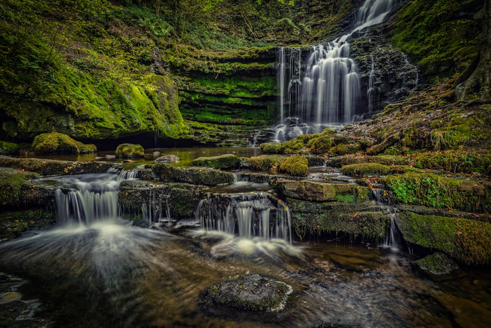 green moss on brown rock near waterfalls