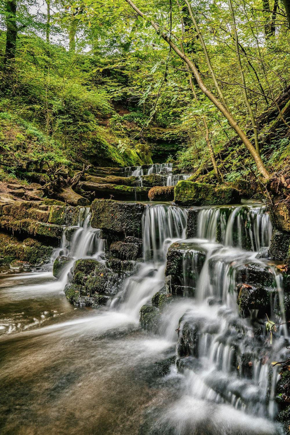 water falls in the forest