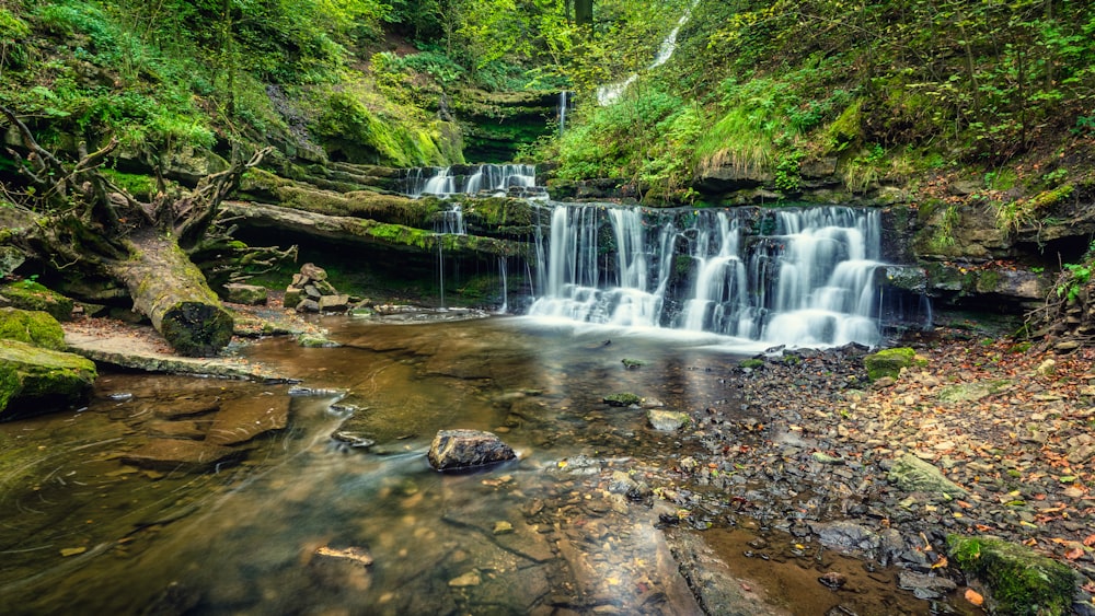 water falls in the middle of the forest