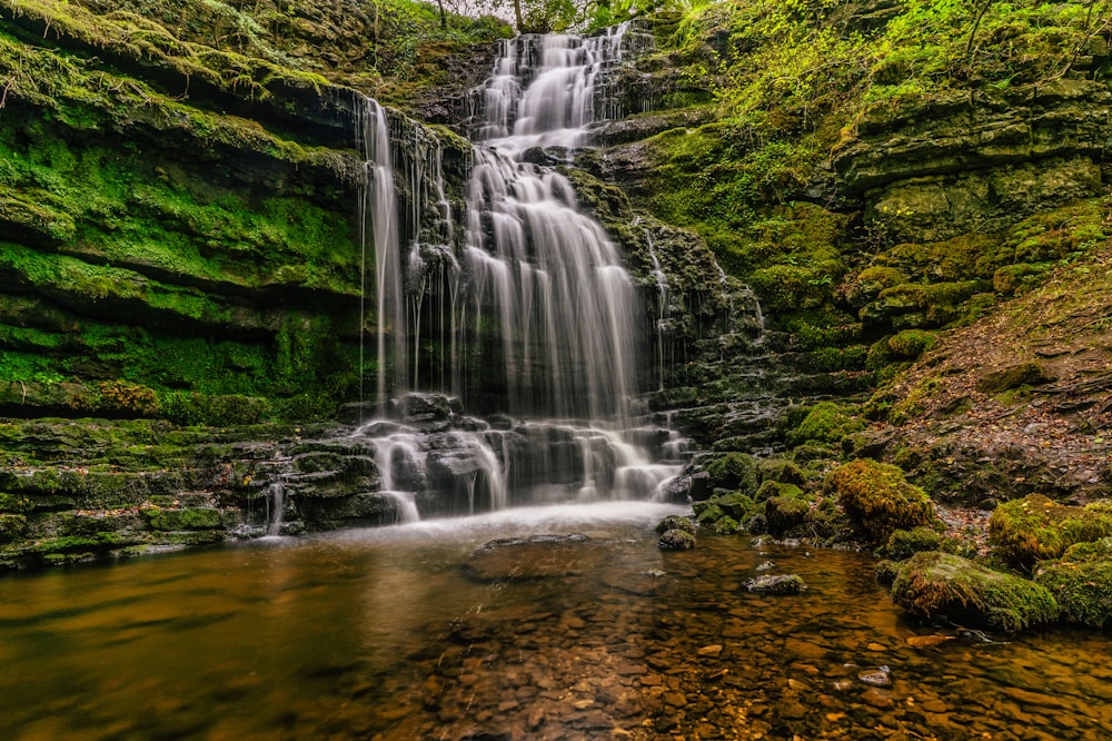 water falls in the middle of green trees