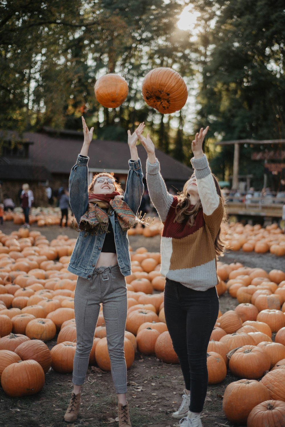 woman in brown long sleeve shirt and blue denim jeans standing in front of pumpkins