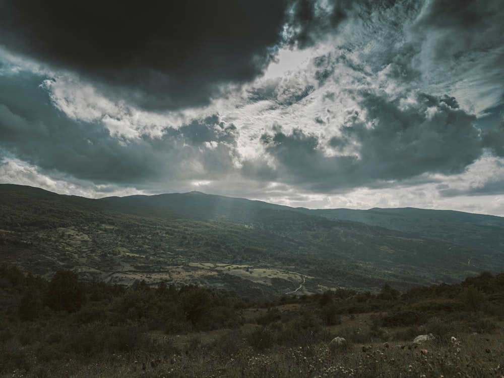 campo de hierba verde bajo el cielo nublado durante el día