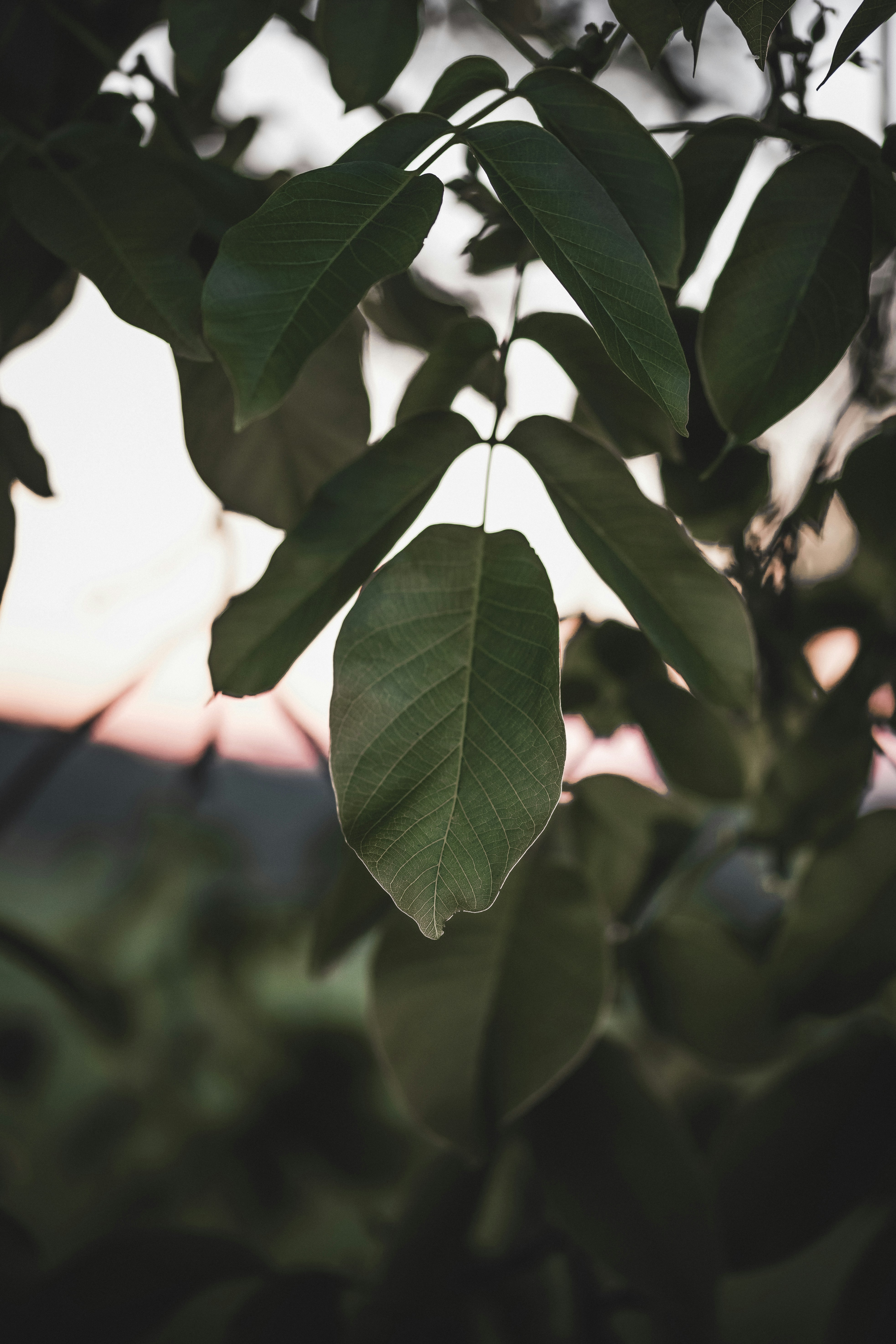 Photo by adamneumann