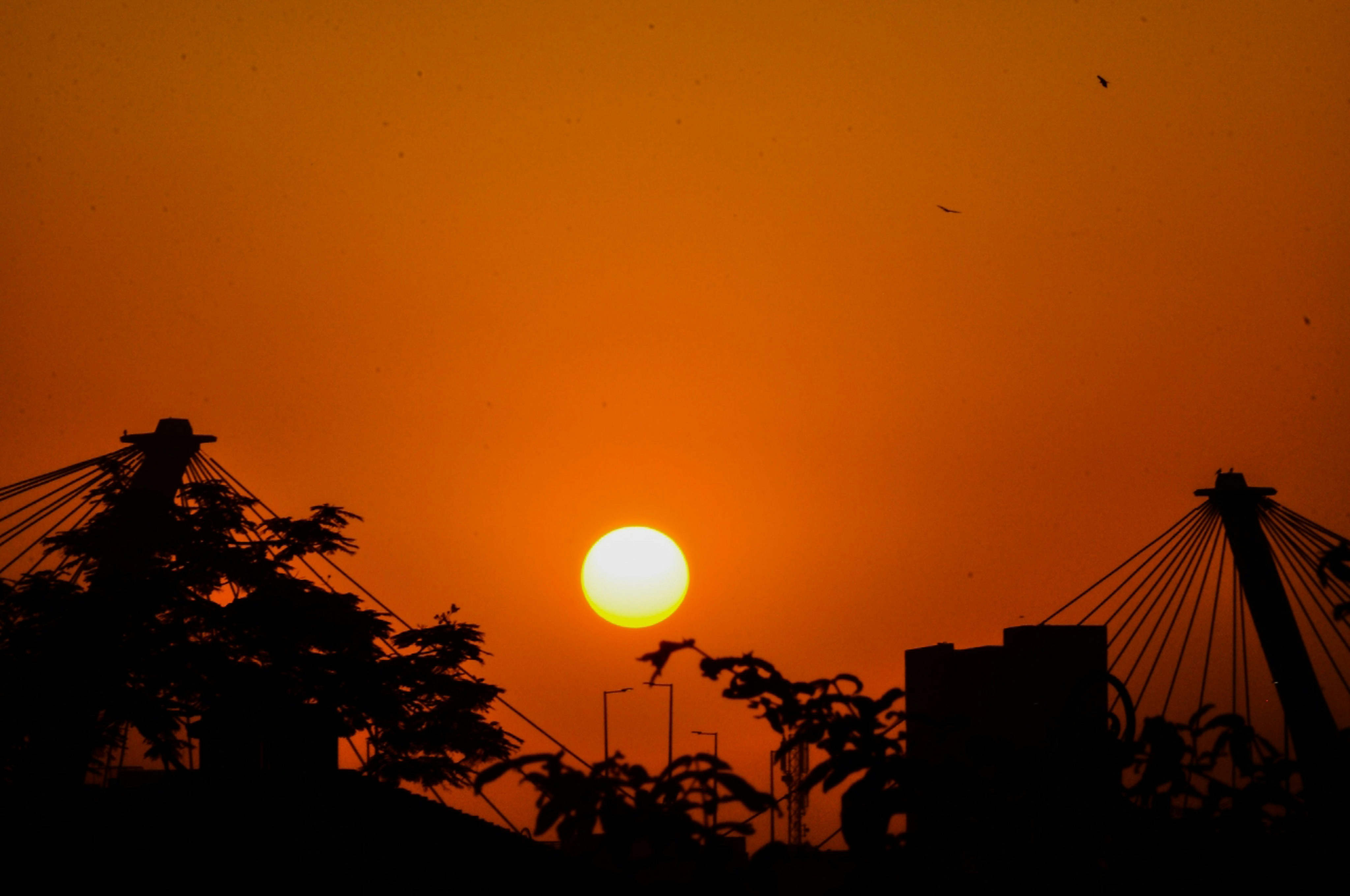 Photo by aryanghauri2020