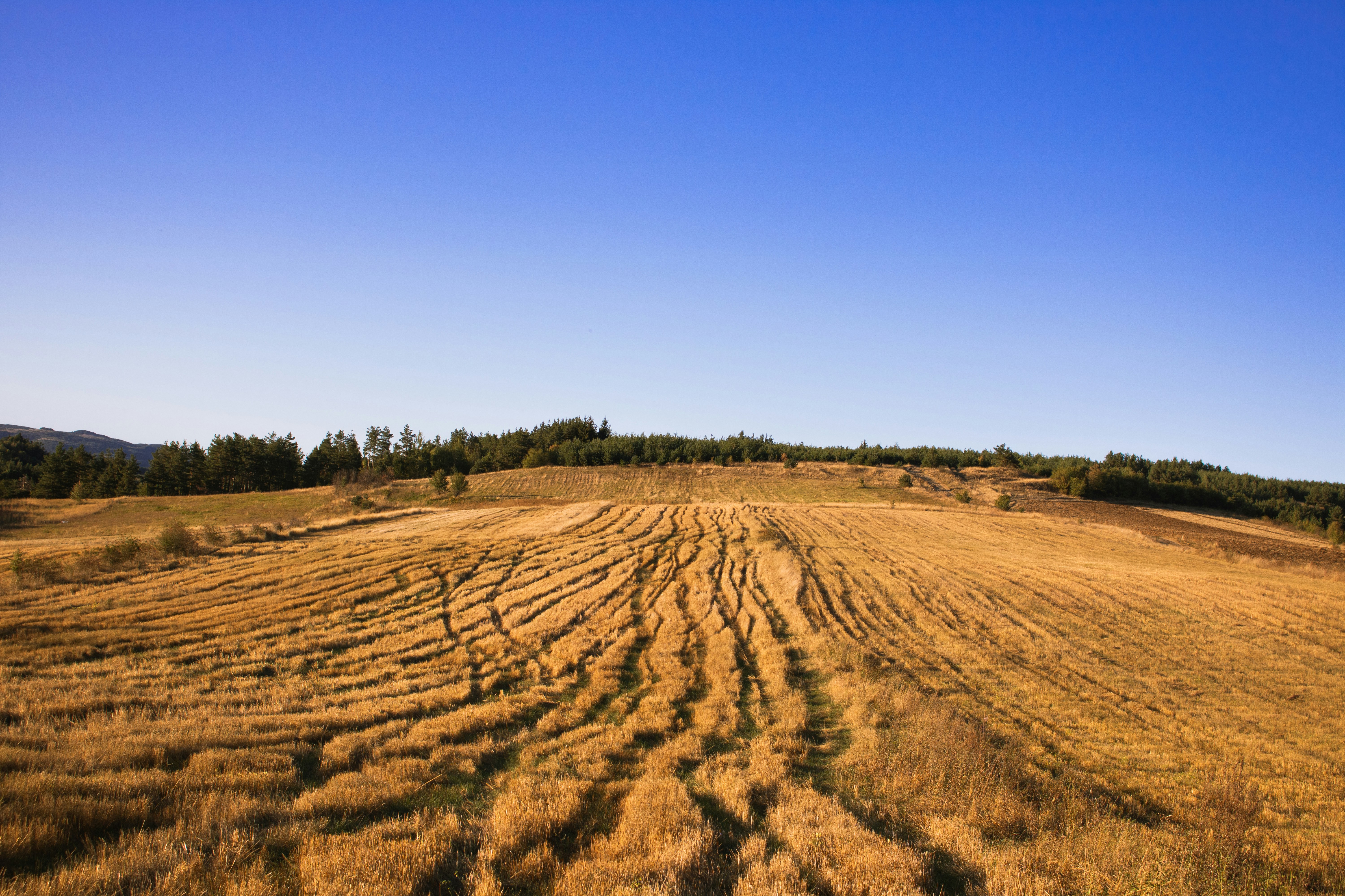 Photo by ivomarinkov