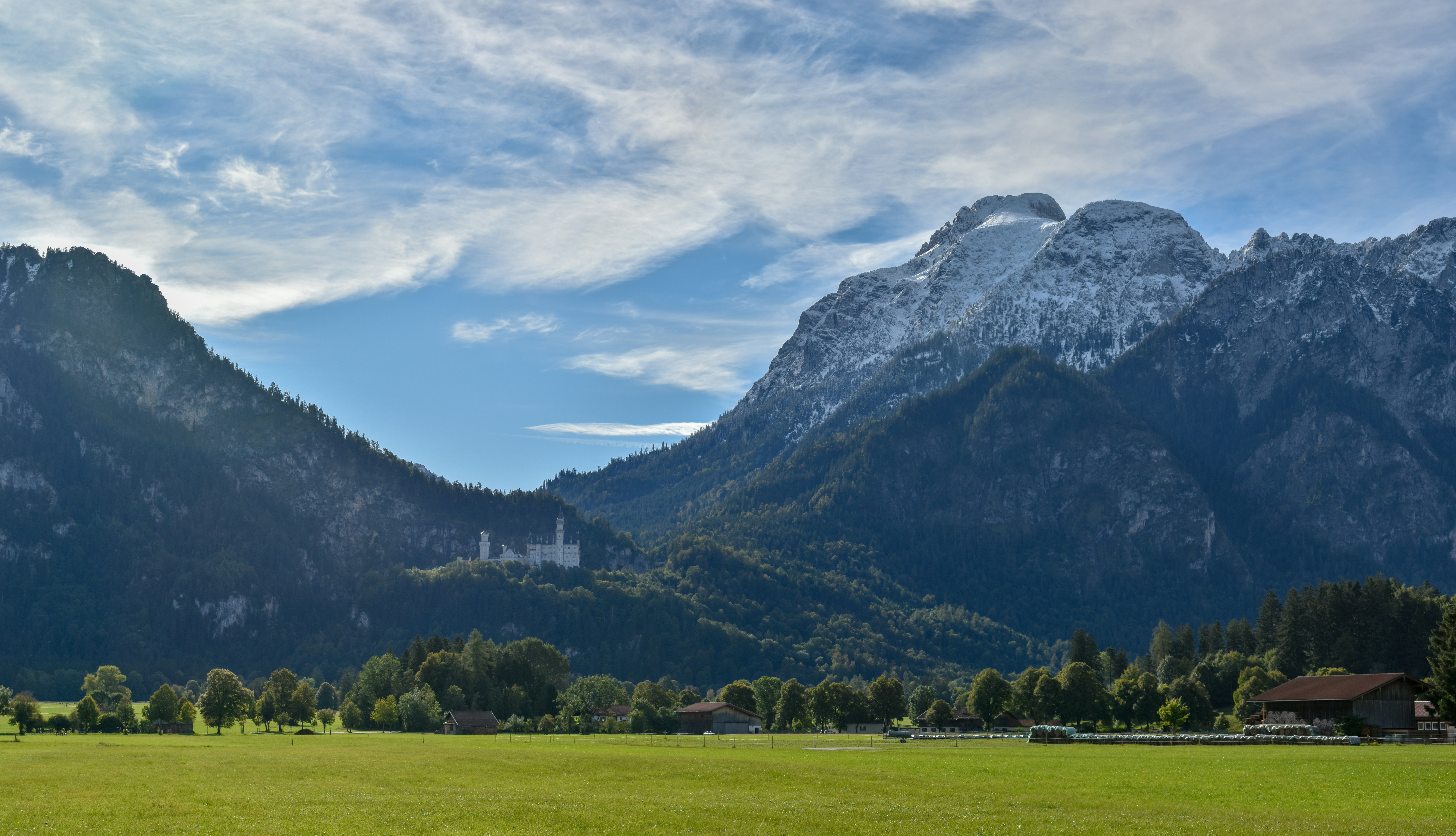 Image by Nikolay Kovalenko via Unsplash