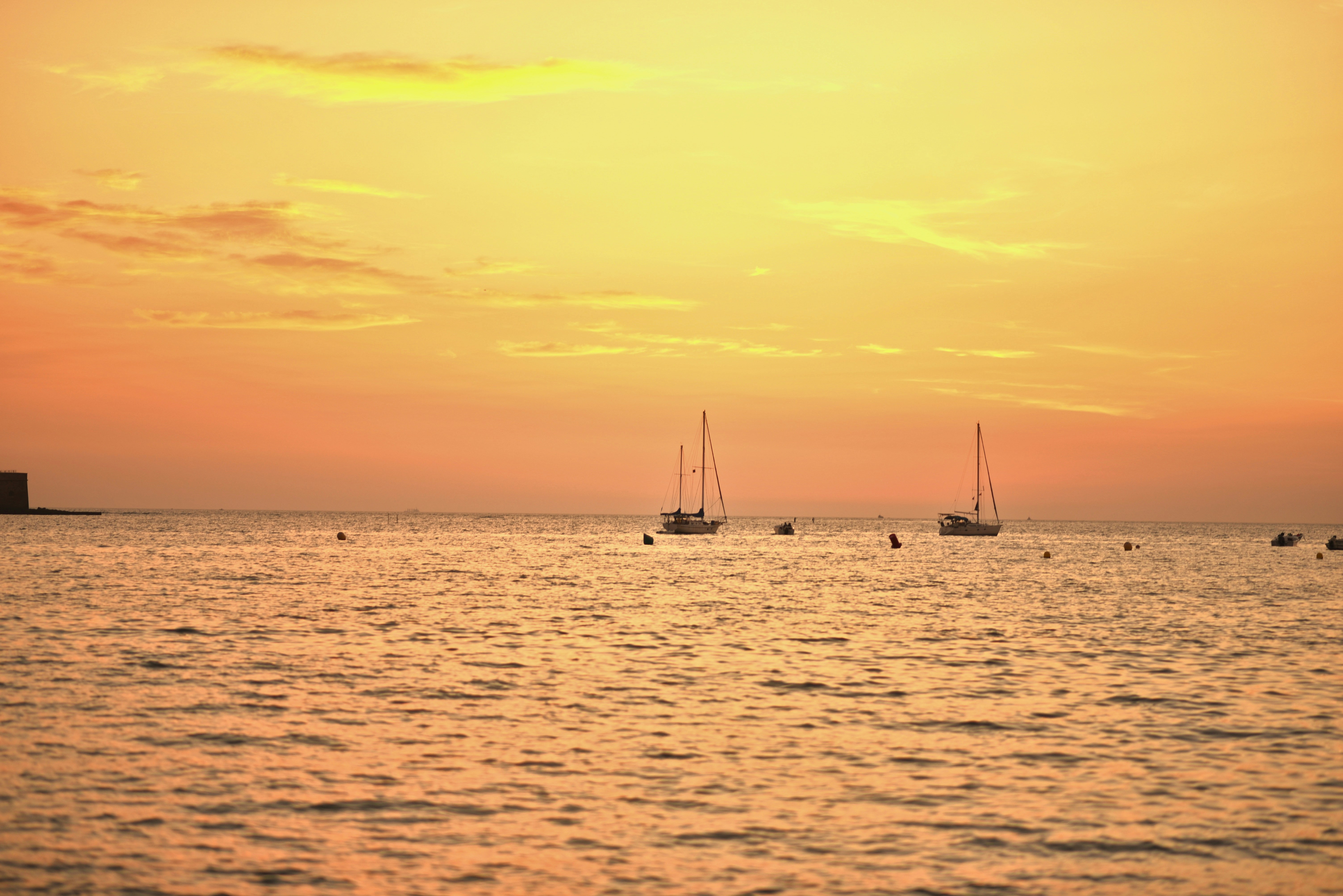 Photo by daniguitarra