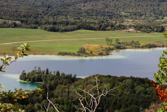 A serene landscape featuring a calm lake surrounded by lush green forests and grassy fields. In the distance, a few small houses are nestled among the trees, and a road runs parallel to the lake. The water appears clear with hints of turquoise near the shoreline, creating a tranquil atmosphere. Branches and leaves frame the image in the foreground.